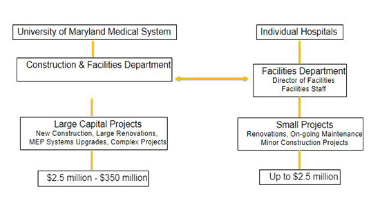Our Organization Graphic