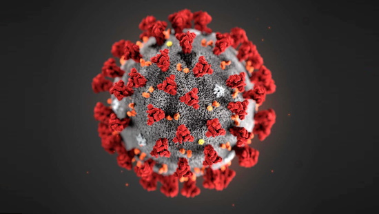 Illustration of coronavirus