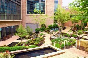 UM Baltimore Washington Medical Center Healing Garden