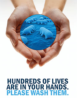 wash your hands to prevent germs