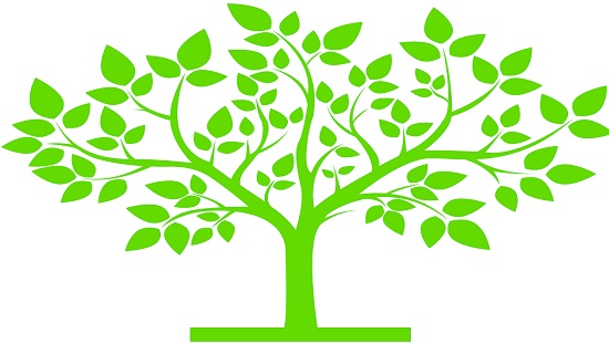 Illustration of a tree