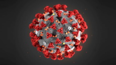 Coronavirus 