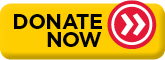 donate now button image