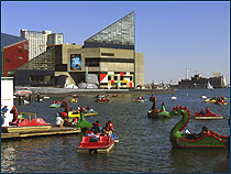 Baltimore inner harbor boats