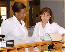 Photo of Doctor Anne L. Martello looking at a file