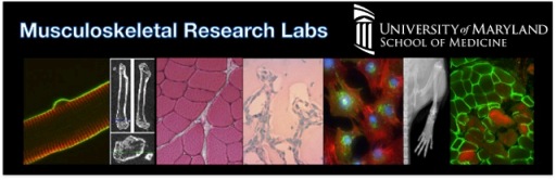 MSK Research Lab banner